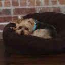 somebodys-in-trubel avatar