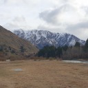 someday-ill-decide avatar