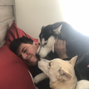 somefamousguy avatar