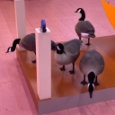 somegeese avatar