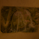 somehowangelic avatar