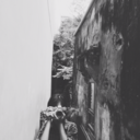 somelittledaisies-blog avatar