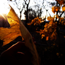 somenightsiwrite avatar