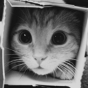 somenteumolhar avatar