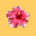 someomestinky avatar