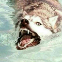 someone123457806 avatar