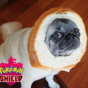 someoneelse88881 avatar