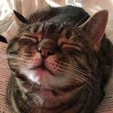 someonelovethisdork avatar