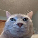 someonenamedashh avatar