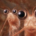 someoneneedstoputmedown avatar