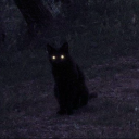 someonestolemytoast2 avatar