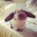 someonetocallme avatar