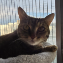 someoneworthfinding avatar