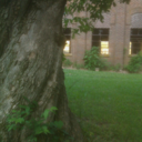 somepassingafternoon avatar