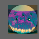 somer4nd00 avatar