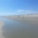 somerandomgal6 avatar