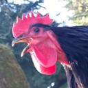 somesortoftimemachine avatar