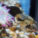 something-5678 avatar