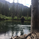 something-brighter avatar