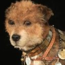 something-goofed avatar