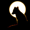 something-great avatar