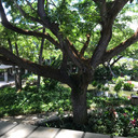 something-on-my-blog avatar