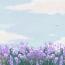 something-softer avatar