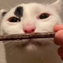 something-something-artist avatar