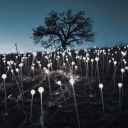 somethingabouttheway avatar