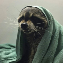 somethingabouttrees avatar