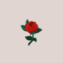 somethingcherry avatar