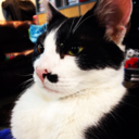 somethingclosetohappy avatar