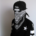 somethingelsen9ne-blog avatar