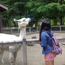 somethingfromafarawayland avatar