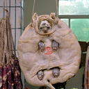 somethinghashappenedagain avatar