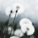 somethingheretosave avatar