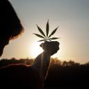 somethingiremembered avatar