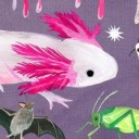 somethingisfishy avatar