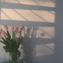 somethinglikeicly avatar