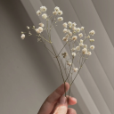 somethinglikero avatar