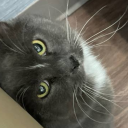 somethingmissingthiswaycomes avatar