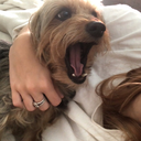 somethingsimplerthanlove avatar