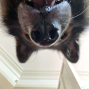 somethingsmart123 avatar