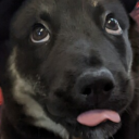 somethingstrange211 avatar