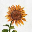 somethingsweeter avatar