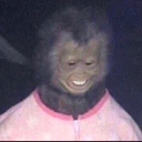 somethingsylvie avatar