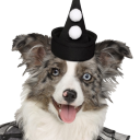 somethingtodowithclowns avatar