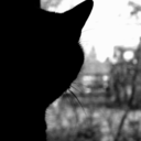 sometimes-i-just-ugh avatar