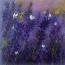 sometimesconforming-kookie avatar