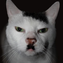 somewhat-somehow-blog avatar